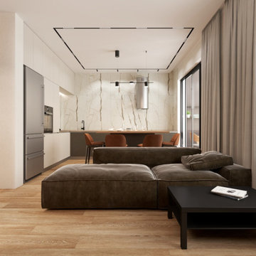 Living room combined with kitchen with a magnetic track lighting system