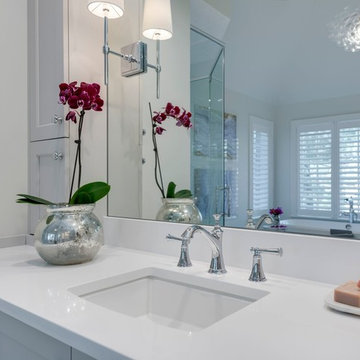 Hinsdale transitional master bath