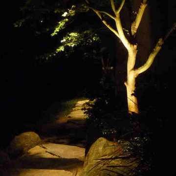 Landscape Lighting