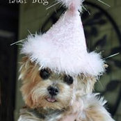 Leslie Heimback's photo