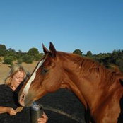 Janet Ackland's photo
