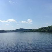 Jennifer Librett's photo