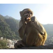 Anna Petraki's photo