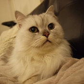 Ying-Tung Chen's photo