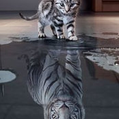 Darlene Knowlton's photo