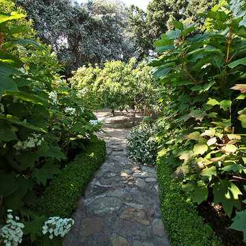 Family Compound