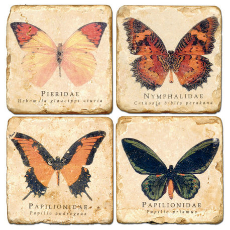 Tumbled Marble Coaster St/4 With Coaster Stand, Butterflys