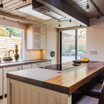 Eichler Remodel