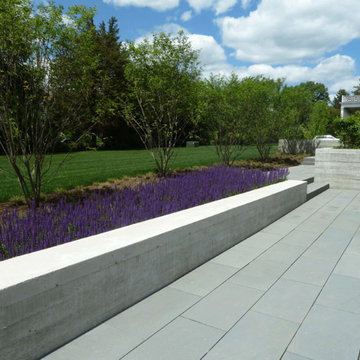 Concrete seat-wall with Sage