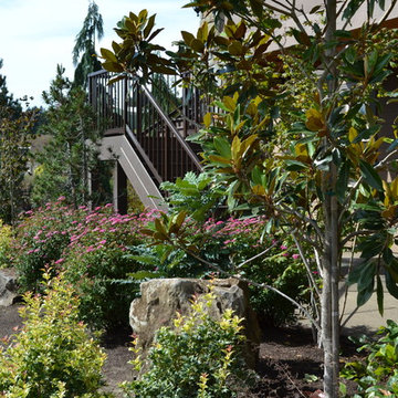 Foundation Planting