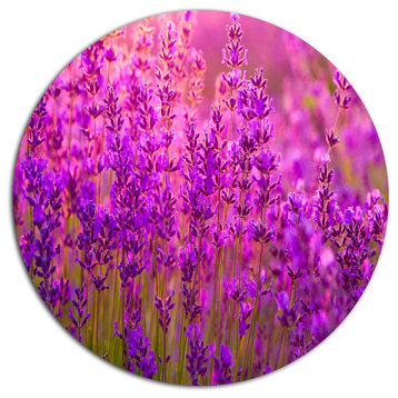 Bright Purple Lavender Field Tihany, Floral Round Metal Wall Art, 23"