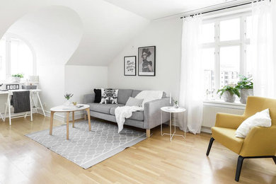 Living room - scandinavian living room idea in Other
