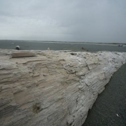 Tsiu River Prefinished Flooring - Products