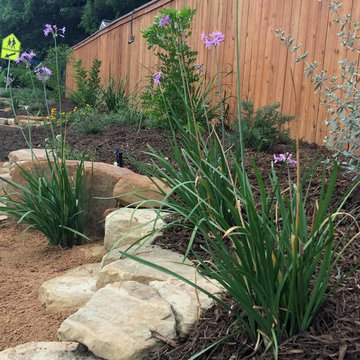 Xeriscapes, examples of our work
