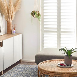 Chic Shutters - Window Treatments