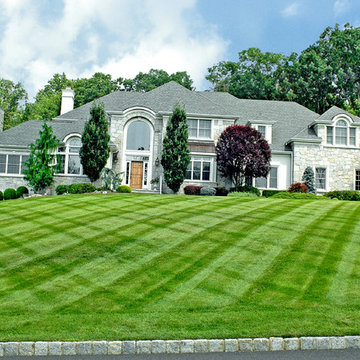 Landscape & Garden Design