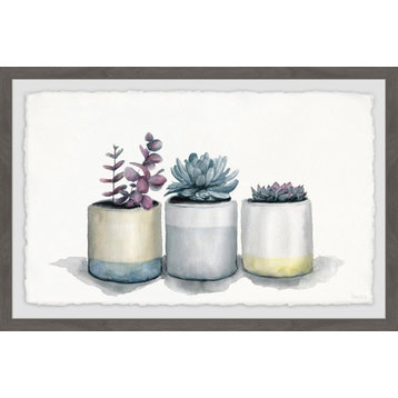 "Three Potted Succulents" Framed Painting Print