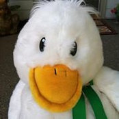 Beverly Bowker's photo
