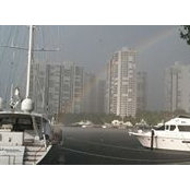 Joseph Yolofsky's photo