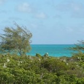 Exuma Tarbay's photo