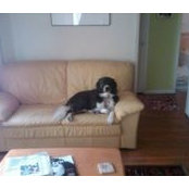 Robin Gibson's photo