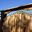 Big Tex Fence