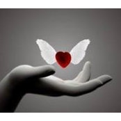 Roxana Riza's photo
