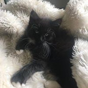 Angela Opperman's photo