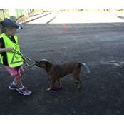 Jodie O'Brien's photo