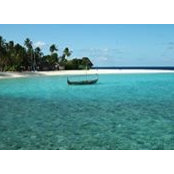 Rachael Vella's photo