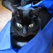 Alia Tiberius's photo