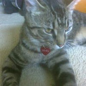 Carol Wrathall's photo
