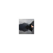 Paul Heckel's photo