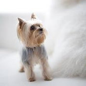 Kimberlee Robertson's photo