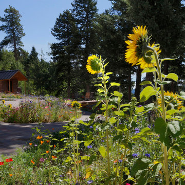 Natural Mountain Oasis