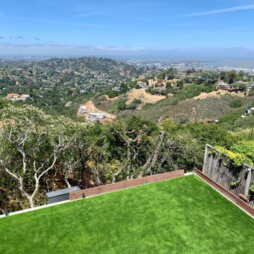 Artificial Grass