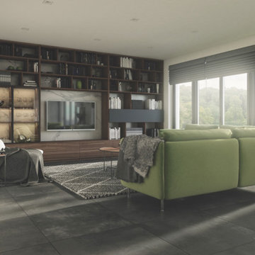 Entertainment Systems & Media Centers