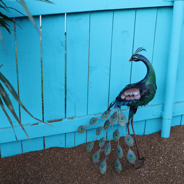Casa Azul Airbnb Remodel