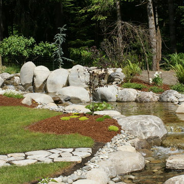 Before and After and Project Photos Landscaping and Tree Removal