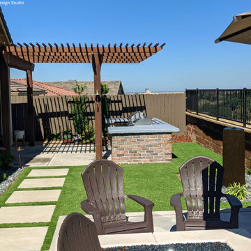 Modern Back Yard Landscape
