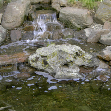Backyard Ponds