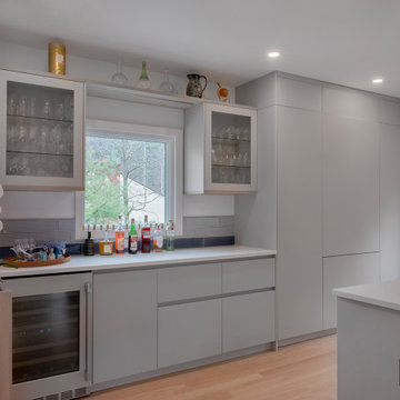 Elegant, Nature-Infused Modern Kitchen in Winchester, MA