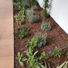 Brennan Landscape Project