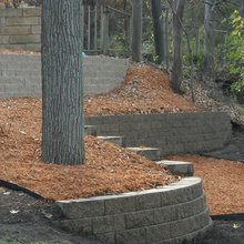 Landscape Ideas