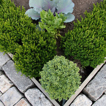 Vegetable Garden