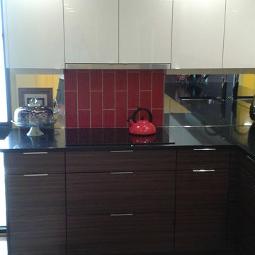 Tampa Florida Kitchen Remodel