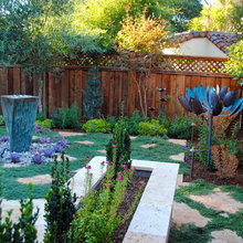 Landscape Ideas
