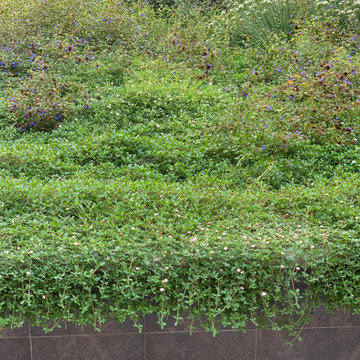 giardino contemporaneo a basso impatto ambientale