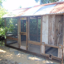 Chicken Coop