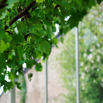 A Bespoke Lean-To Greenhouse, Devon